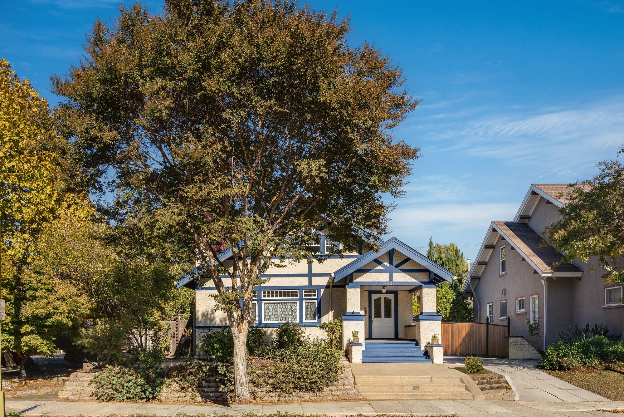 The bungalow from across the street, framed by a mature shade tree.